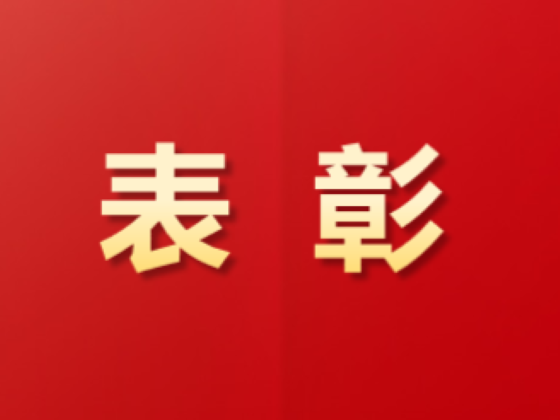祝賀！這些青年集體和個人榮獲中國物流表彰！